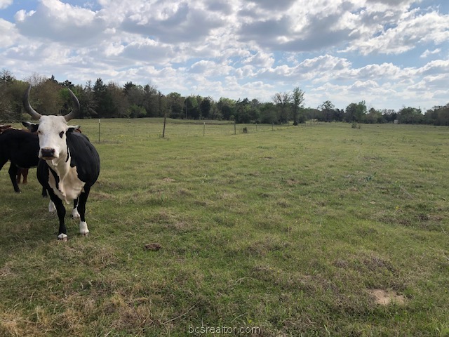 0 Hughes Cut Off Road, Unit COUNTYROAD Hearne, TX 77859 - Photo 18 of 24