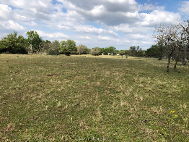 0 Hughes Cut Off Road, Unit COUNTYROAD Hearne, TX 77859 - Photo 3 of 24