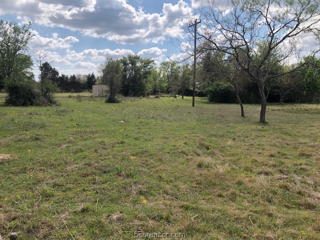 0 Hughes Cut Off Road, Unit COUNTYROAD Hearne, TX 77859 - Photo 4 of 24