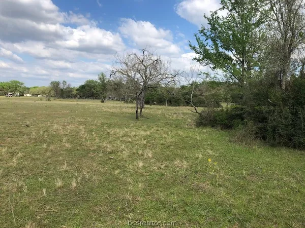 $165,100 | 0 Hughes Cut Off Road, Unit COUNTYROAD, Hearne, TX 77859