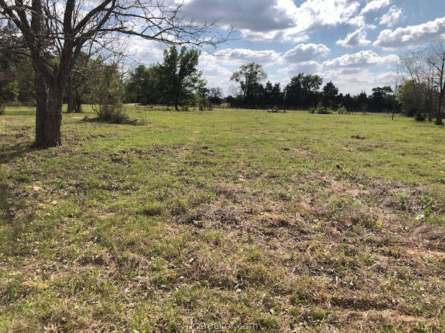 0 Hughes Cut Off Road, Unit COUNTYROAD Hearne, TX 77859 - Photo 6 of 24