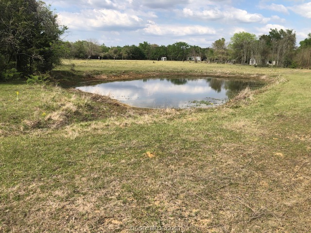 0 Hughes Cut Off Road, Unit COUNTYROAD Hearne, TX 77859 - Photo 8 of 24