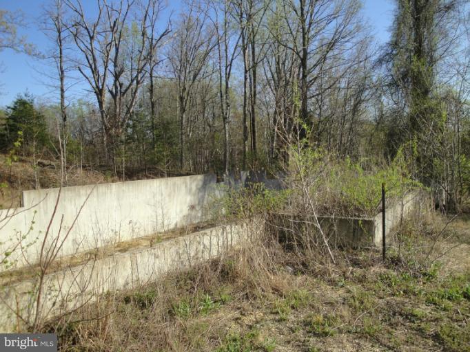 3975 Solomons Island Road North Huntingtown, MD 20639 - Photo 7 of 30 a view of a yard