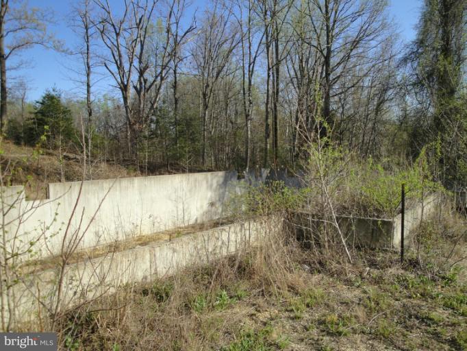 3975 Solomons Island Road North Huntingtown, MD 20639 - Photo 9 of 30 a view of yard