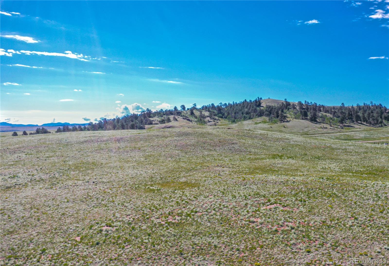 8218 Chicha Road Hartsel, CO 80449 - Photo 8 of 15 Gallery Image 8