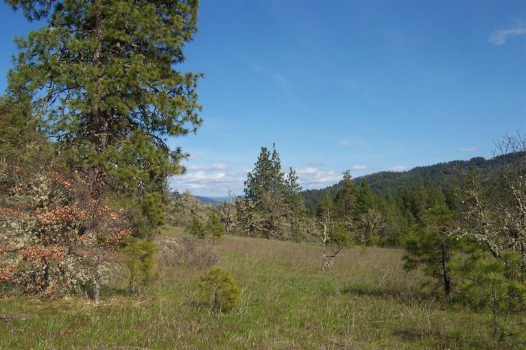 0 Derby Road Eagle Point, OR 97524 - Photo 3 of 12 Additional Photo