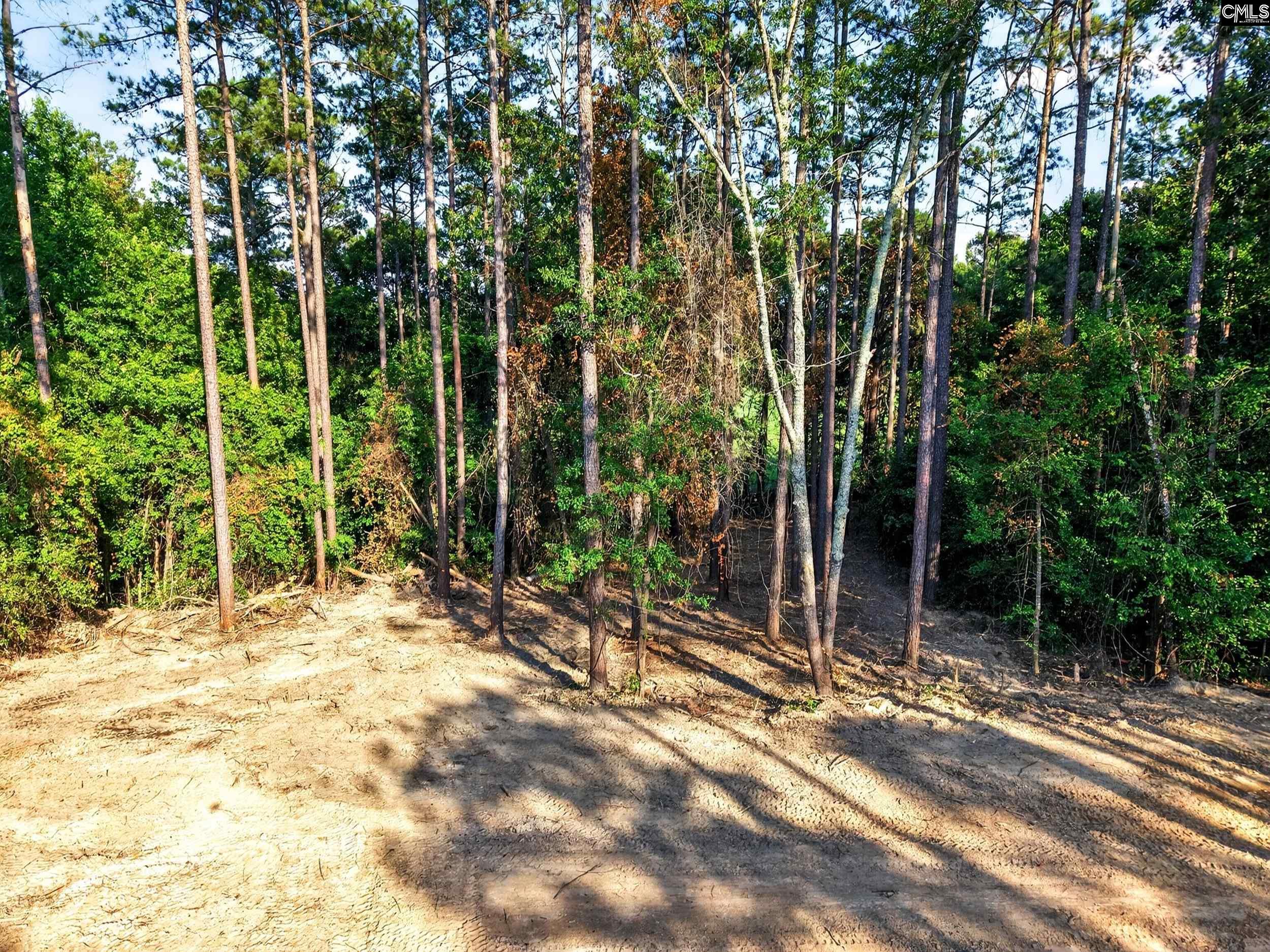 1223 Ancrum Ferry Road Lugoff, SC 29078 - Photo 37 of 37
