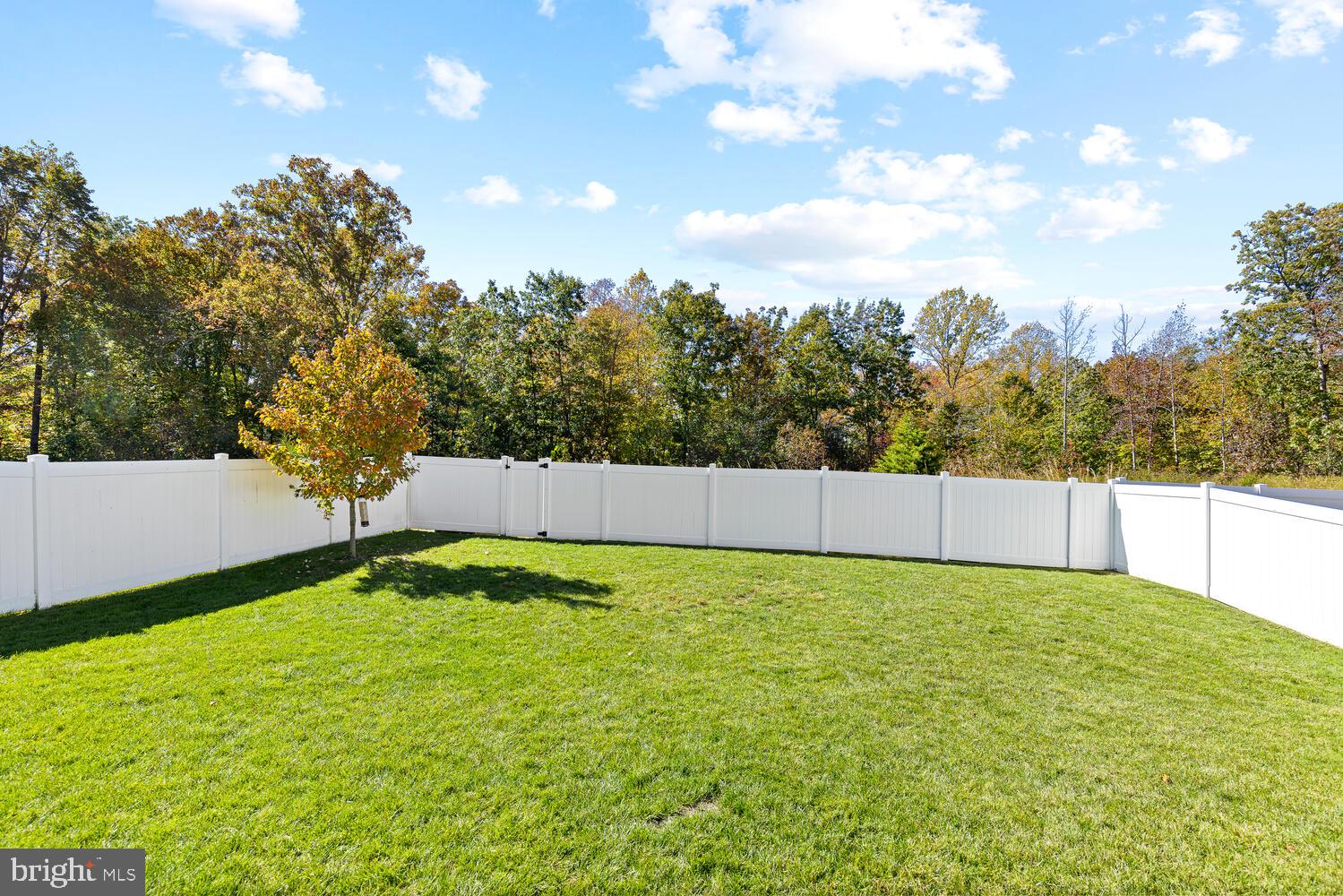 397 Pear Blossom Road Stafford, VA 22554 - Photo 44 of 57