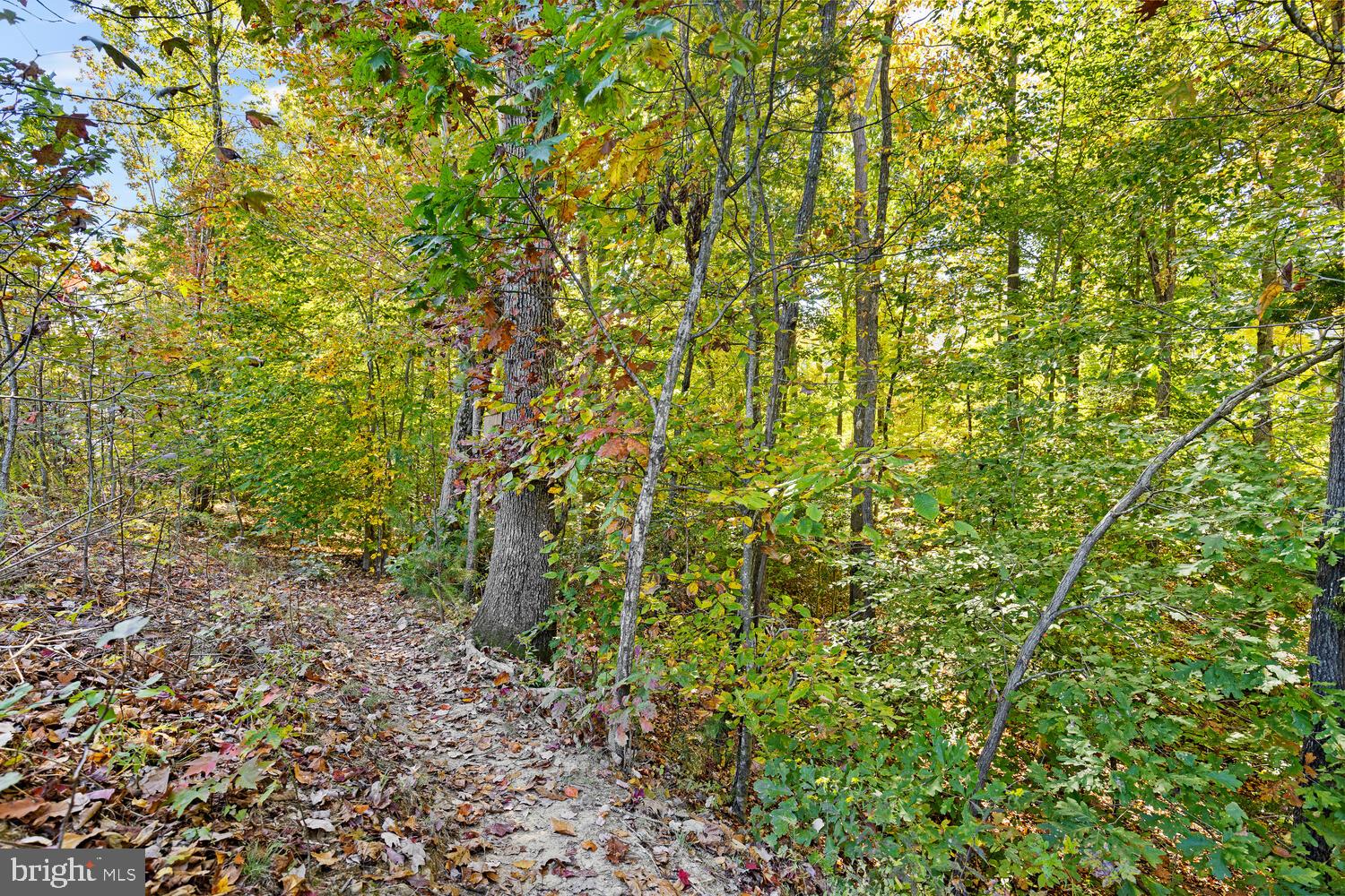 397 Pear Blossom Road Stafford, VA 22554 - Photo 45 of 57