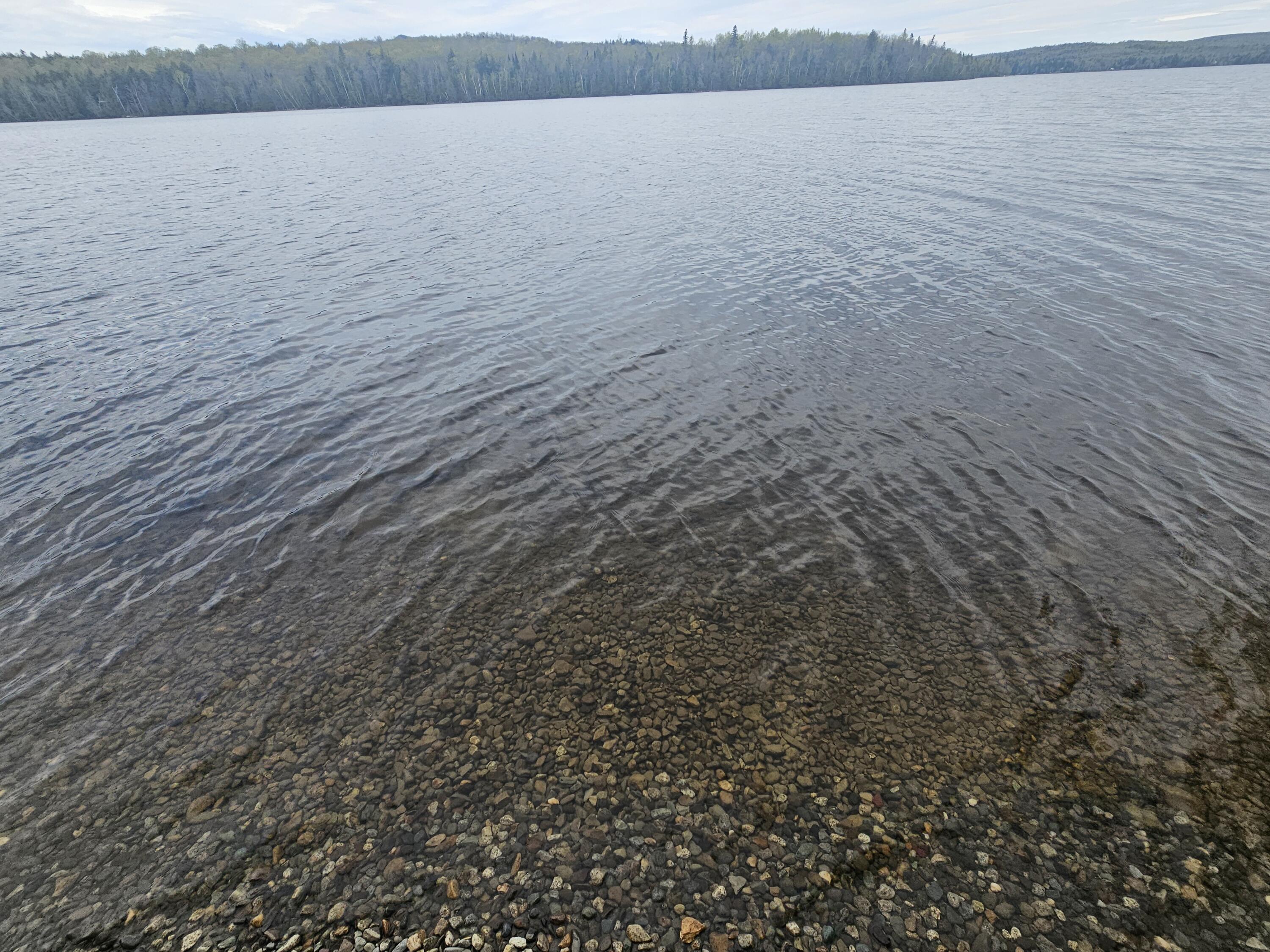 15 Ritchie Lane Patten, ME 04765 - Photo 59 of 81 20260518_123121