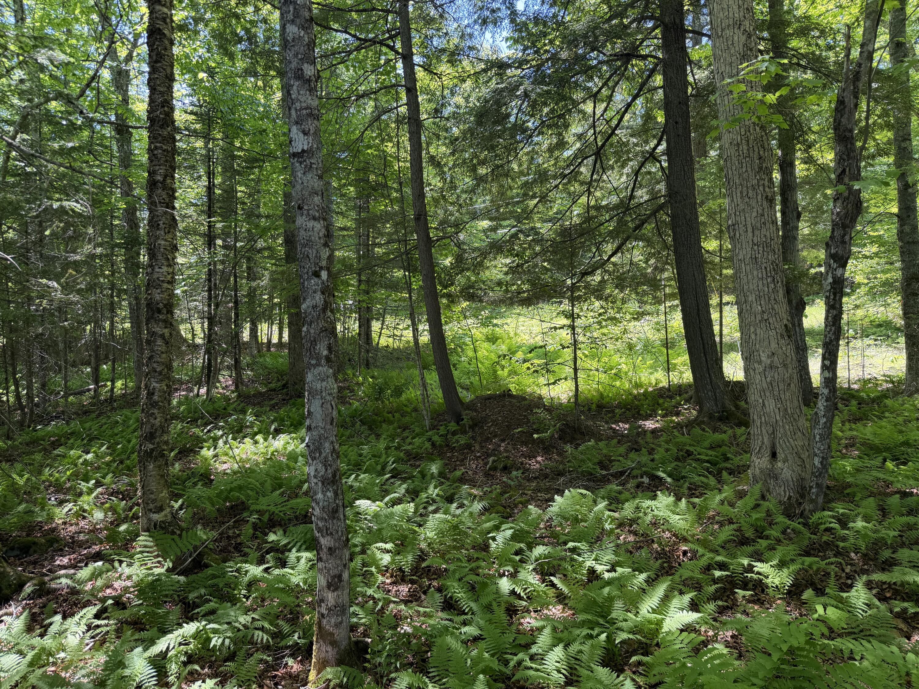 21 Map Lane Dexter, ME 04930 - Photo 6 of 12 6