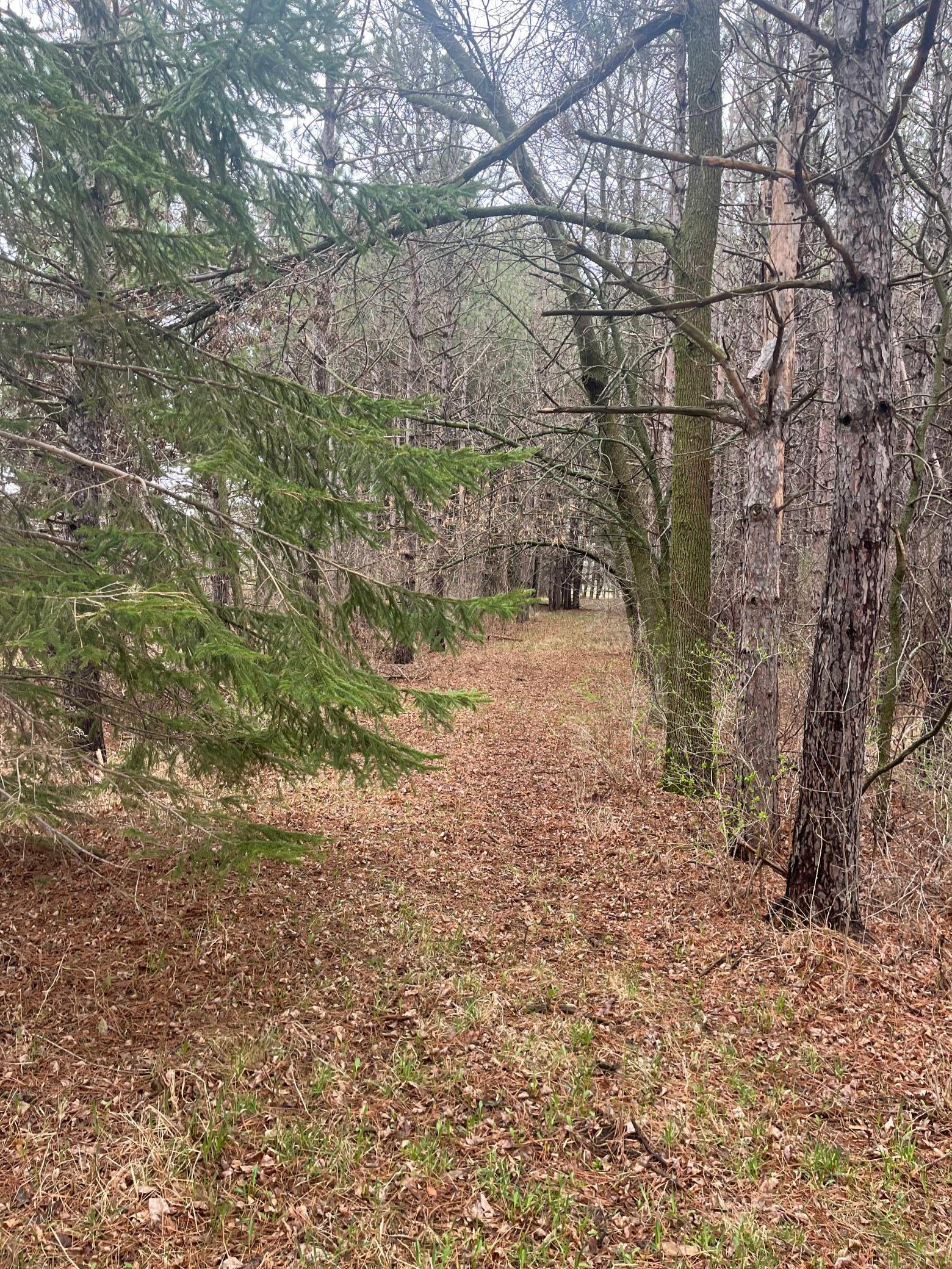 67 Old 67 Road Henning, MN 56551 - Photo 6 of 10