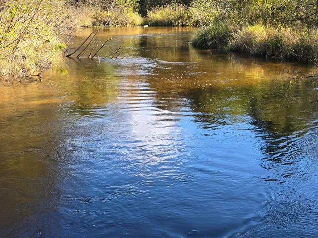 $219,000 | 10652 North River Road, Unit A, Irons, MI 49644