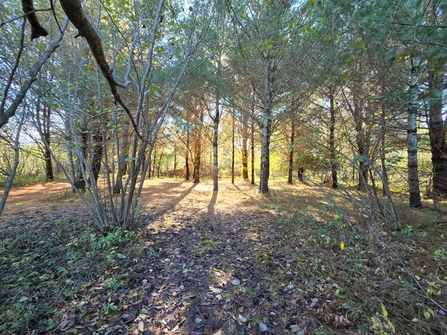 $219,000 | 10652 North River Road, Unit A, Irons, MI 49644