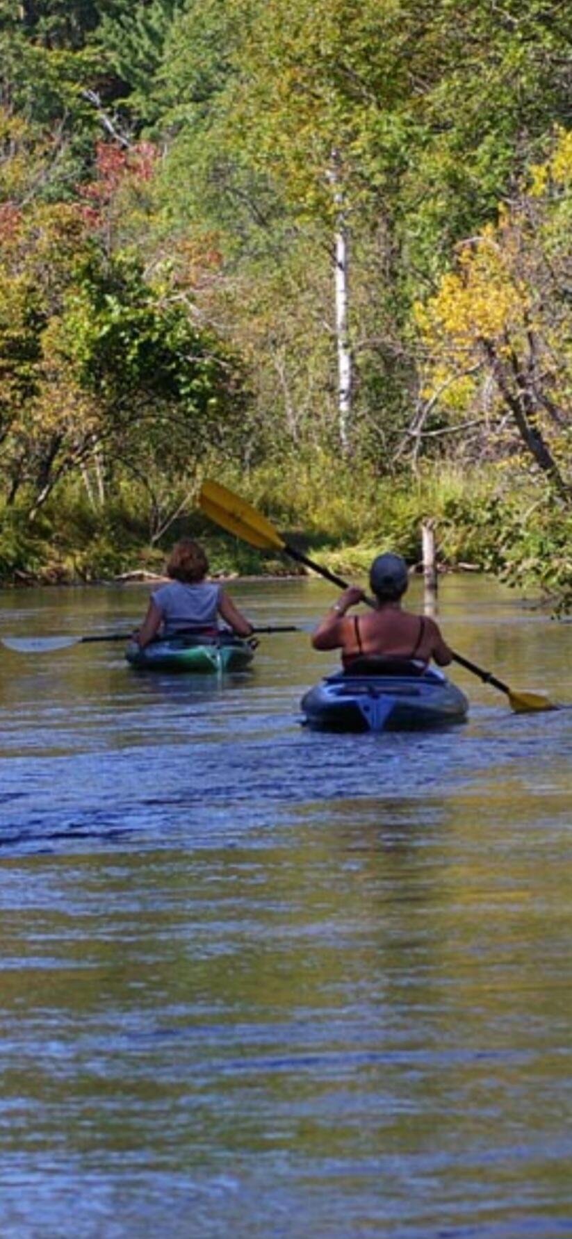 10652 North River Road, Unit A Irons, MI 49644 - Photo 18 of 31 1000031643
