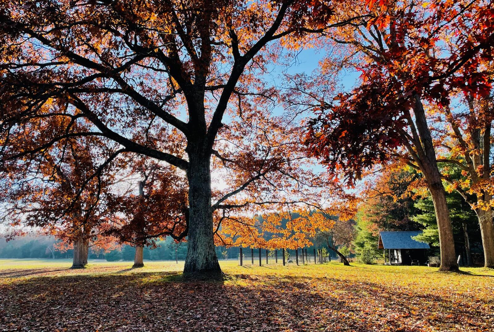 10652 North River Road, Unit A Irons, MI 49644 - Photo 2 of 31 IMG_2159.heic