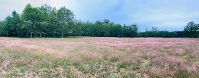 $219,000 | 10652 North River Road, Unit A, Irons, MI 49644