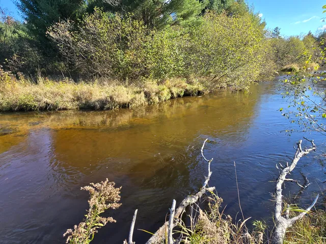 $219,000 | 10652 North River Road, Unit A, Irons, MI 49644