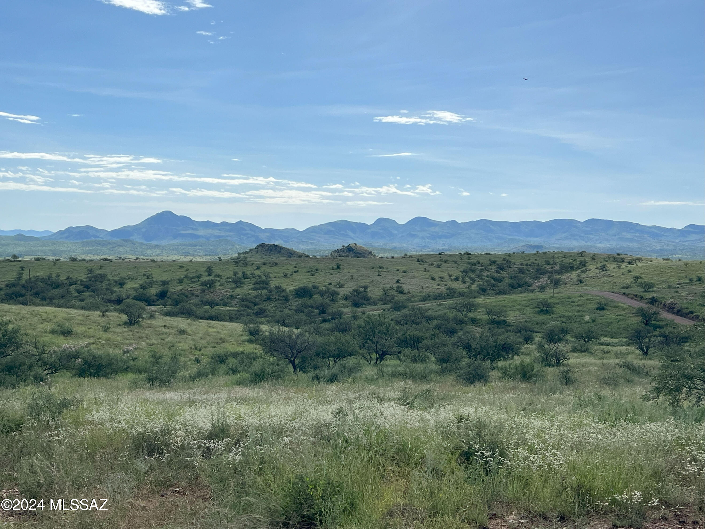 13910 West Jalisco Road Arivaca, AZ 85601 - Photo 6 of 10 a view of a lush green hillside and a houses