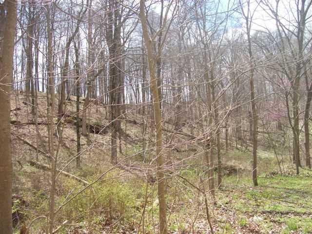 0 St Rd 550 Shoals, IN 47581 - Photo 6 of 9