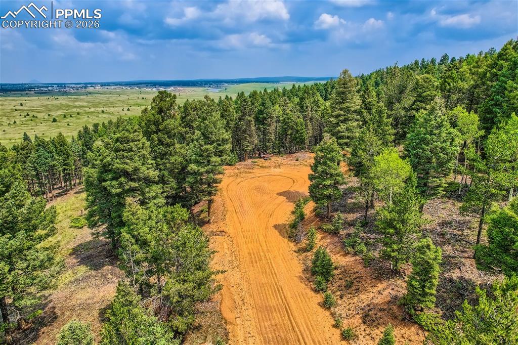 4600 Elk Valley Road Divide, CO 80814 - Photo 7 of 14 a view of mountain with outdoor space