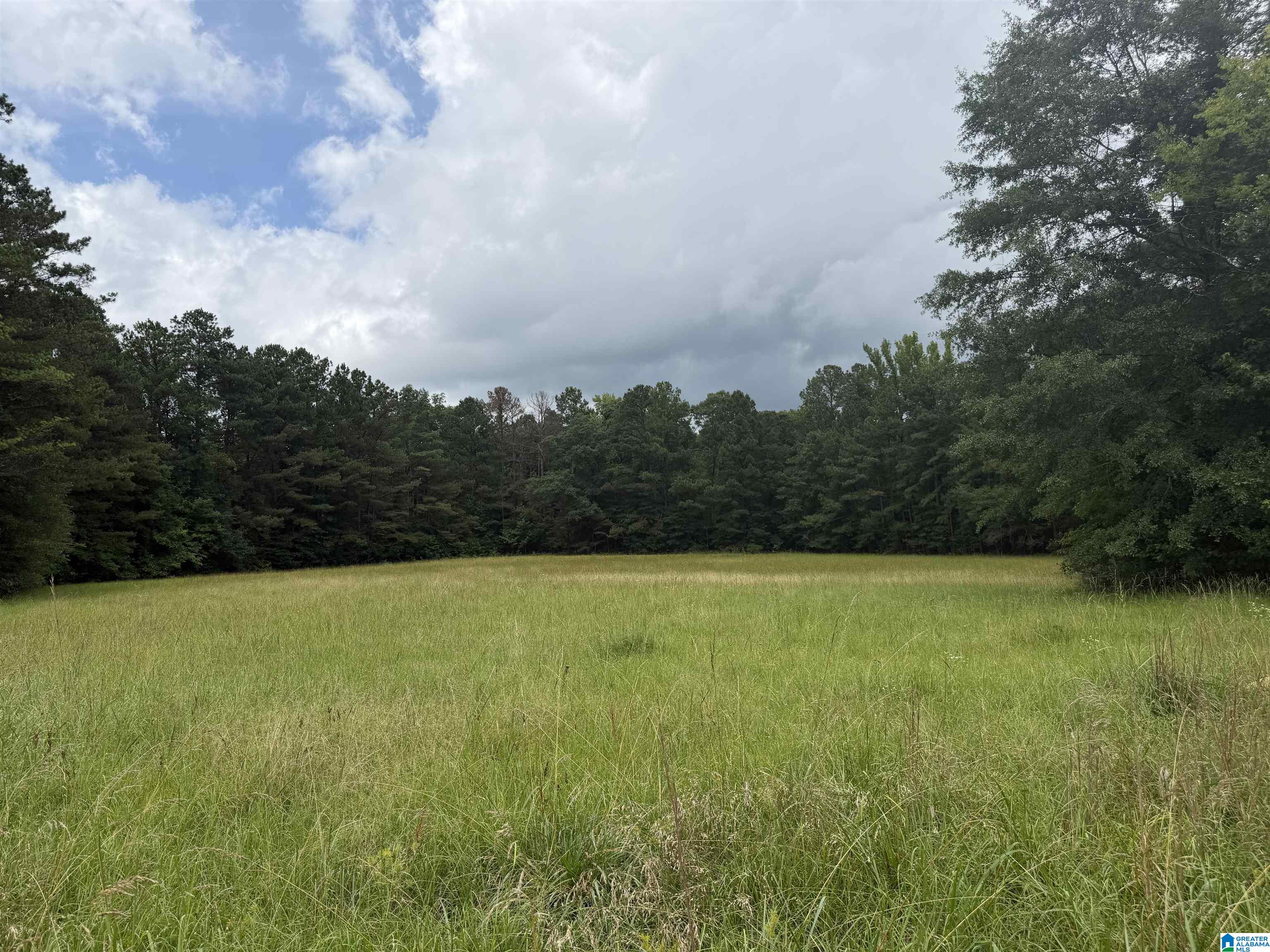 0 Hall Burton Road, Unit 1 Sumiton, AL 35148 - Photo 1 of 10