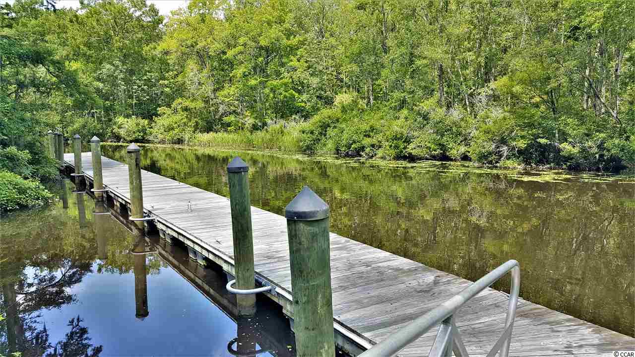 33 Knotty Pine Way Murrells Inlet, SC 29576 - Photo 39 of 40 Gallery Image 39