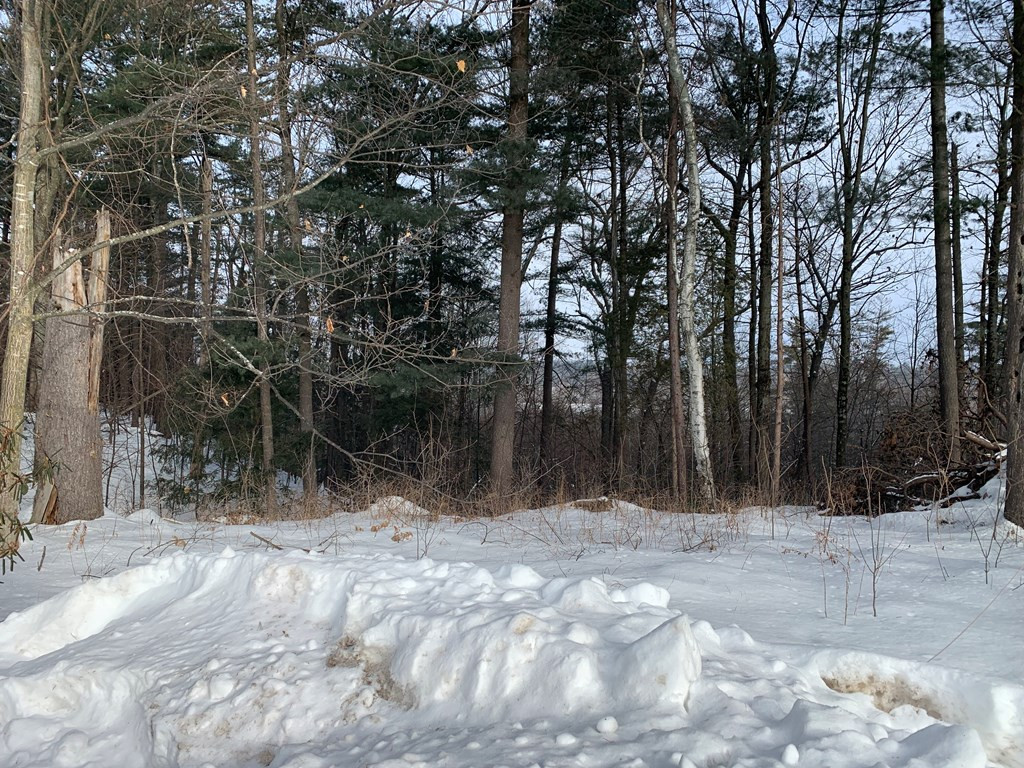 128 Blake Road Plattsburgh, NY 12901 - Photo 36 of 37 Gallery Image 36