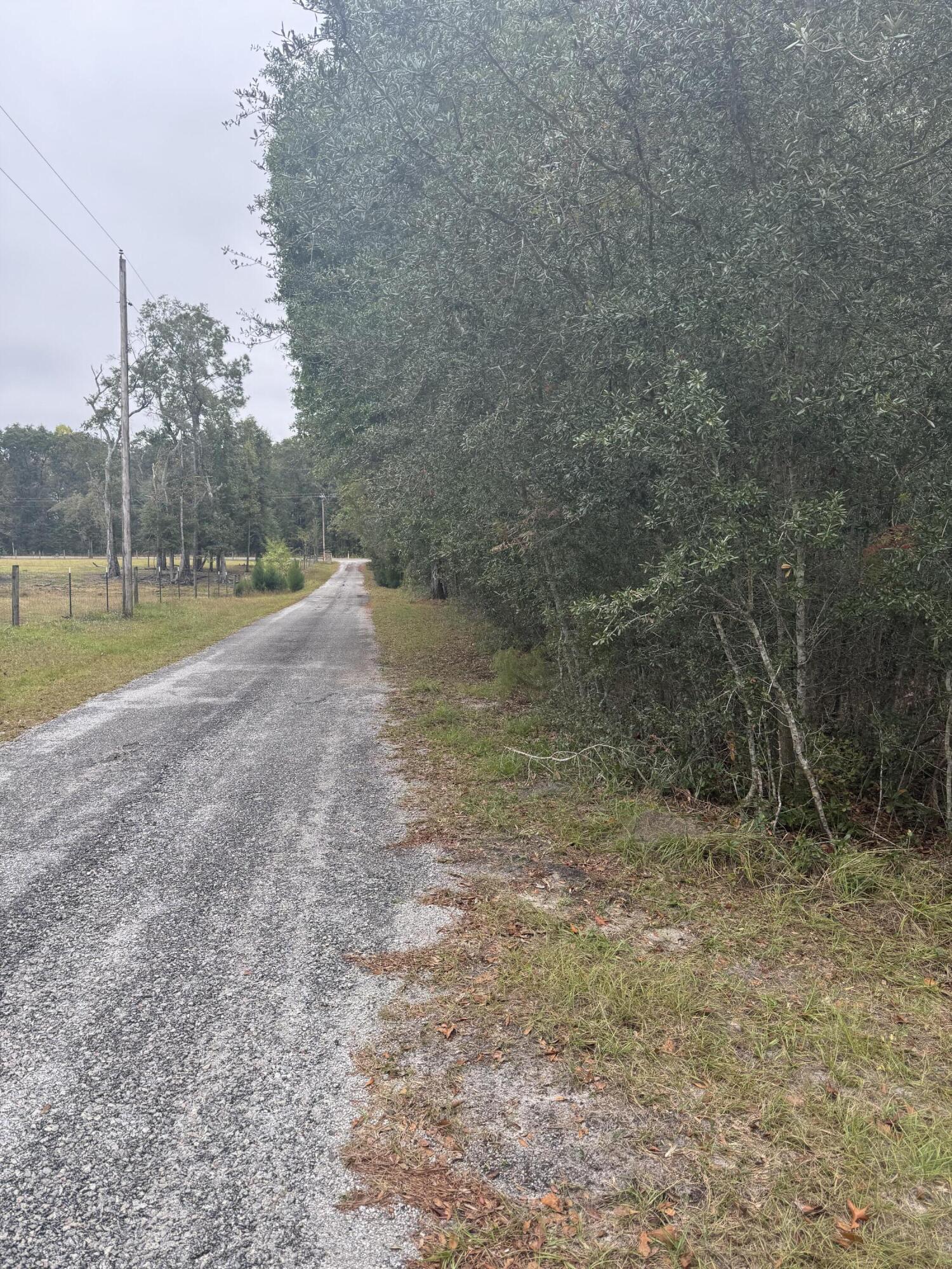 0 Fisk Road Dorchester, SC 29437 - Photo 3 of 8 IMG_6617