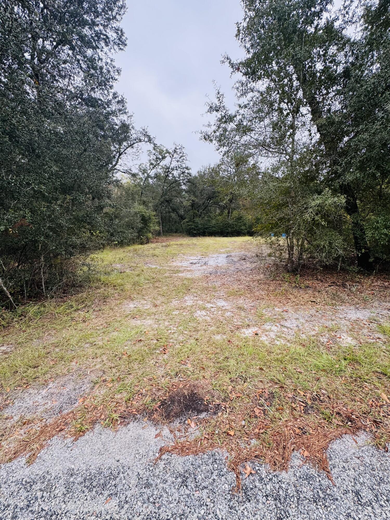 0 Fisk Road Dorchester, SC 29437 - Photo 7 of 8 IMG_6618