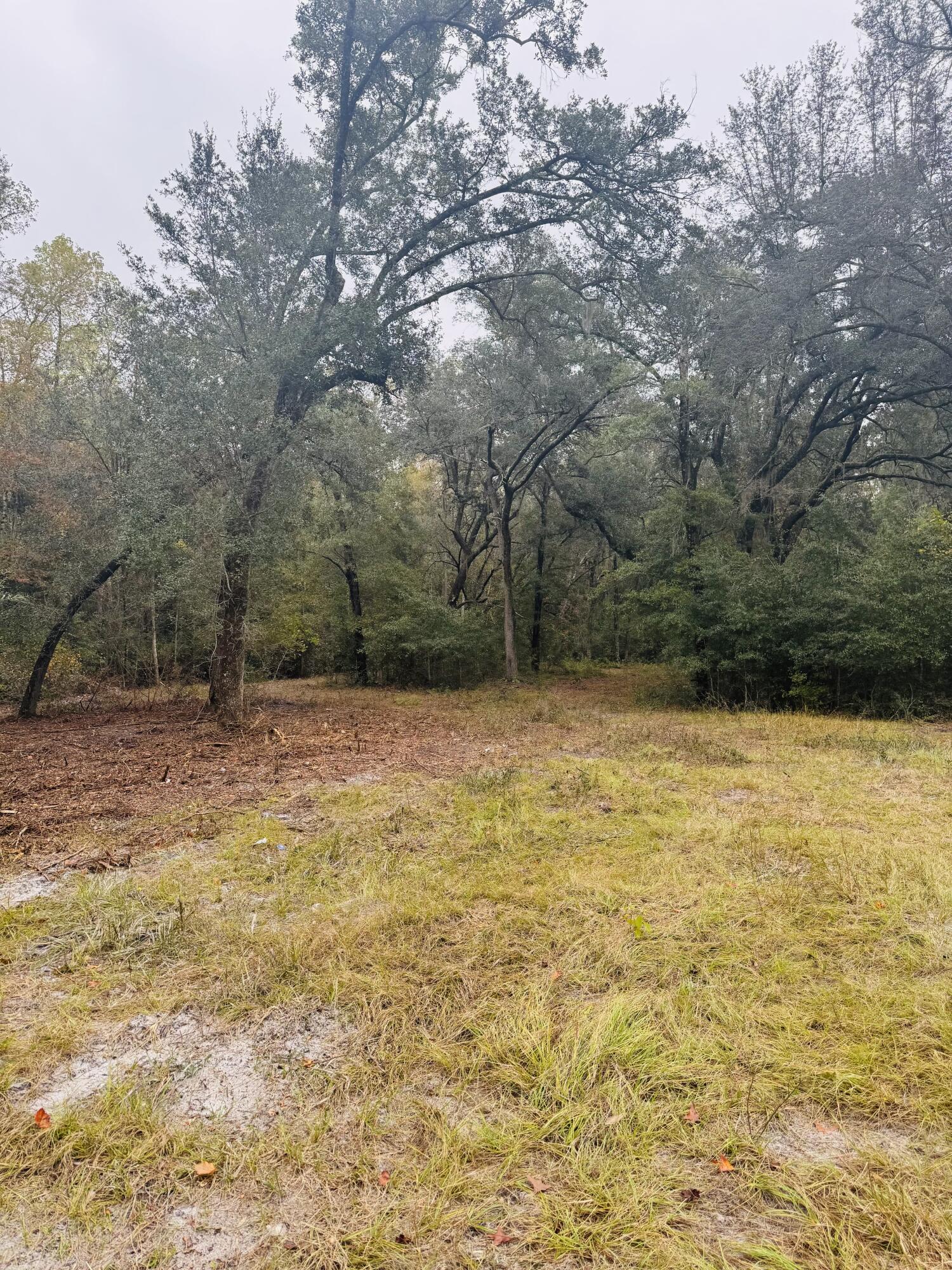 0 Fisk Road Dorchester, SC 29437 - Photo 8 of 8 IMG_6620