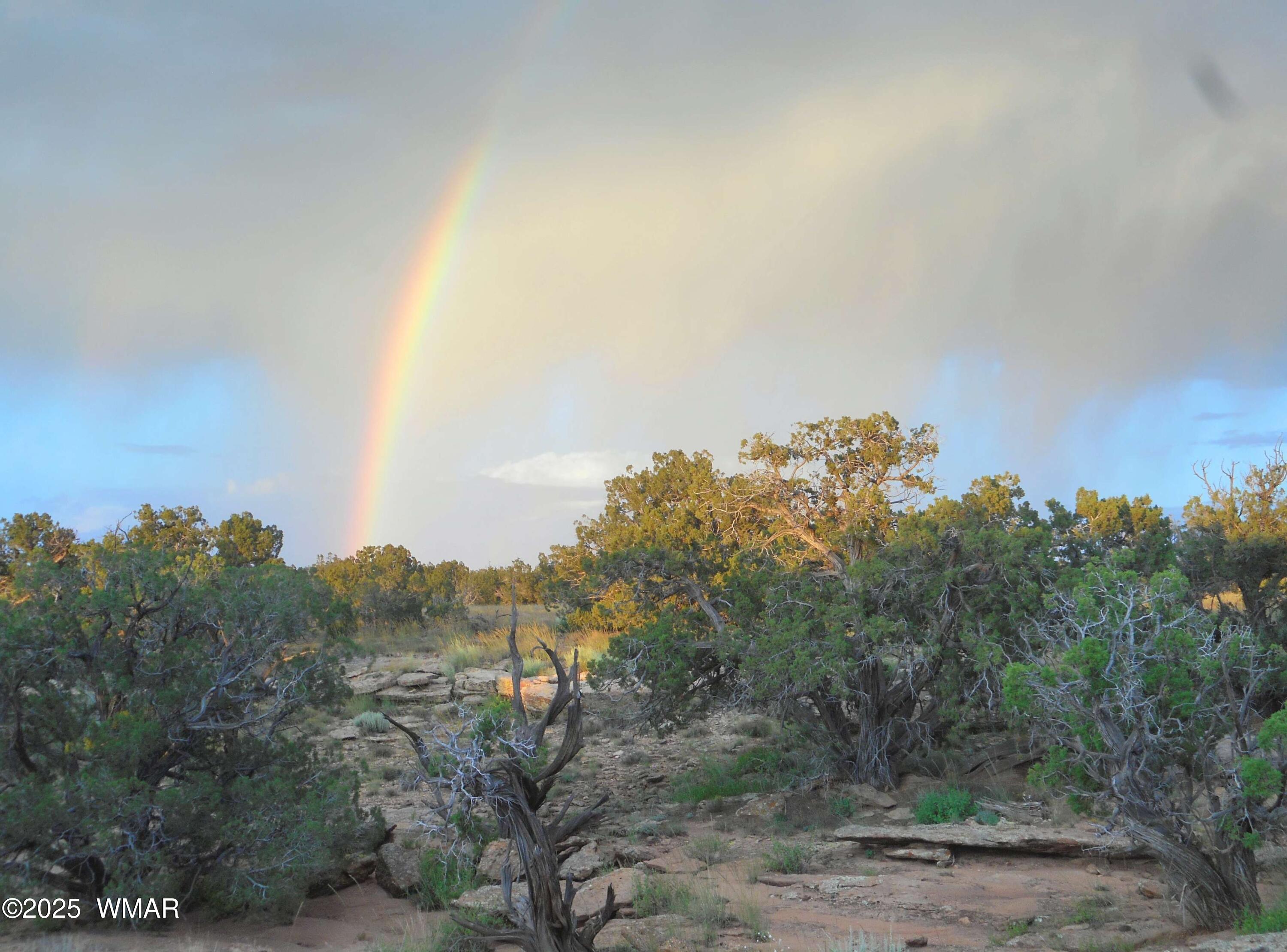 12 County Road Concho, AZ 85924 - Photo 57 of 85 One of the Numerous Breathtaking Rainbow Sightings over Running Streams