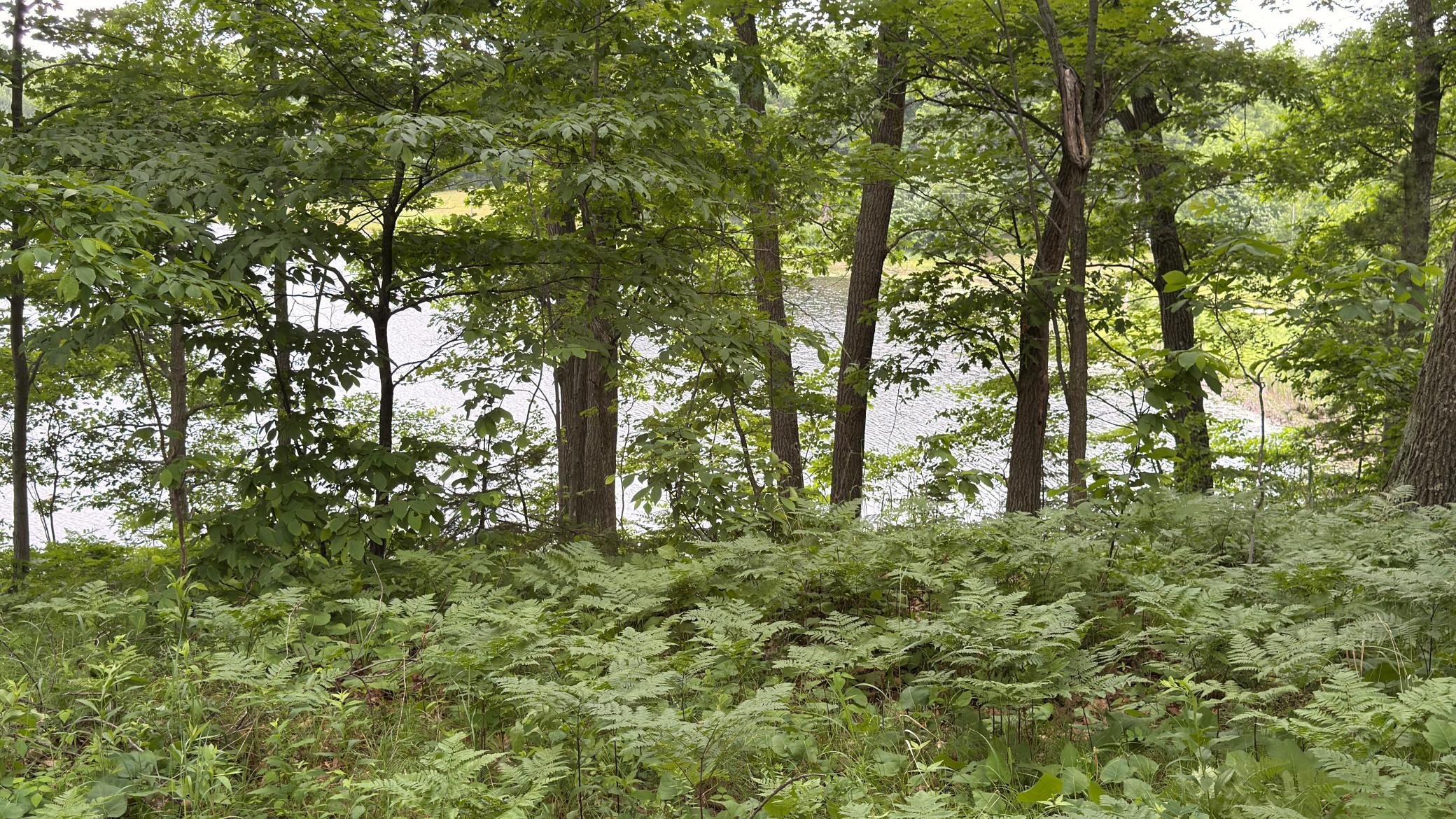 765 270th Cty Road Frederic, WI 54837 - Photo 13 of 17