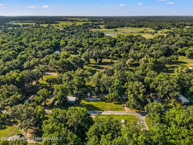 a view of a city with lush green forest