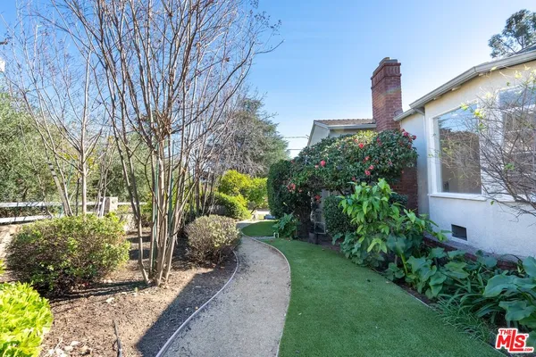 a view of a garden with a trees