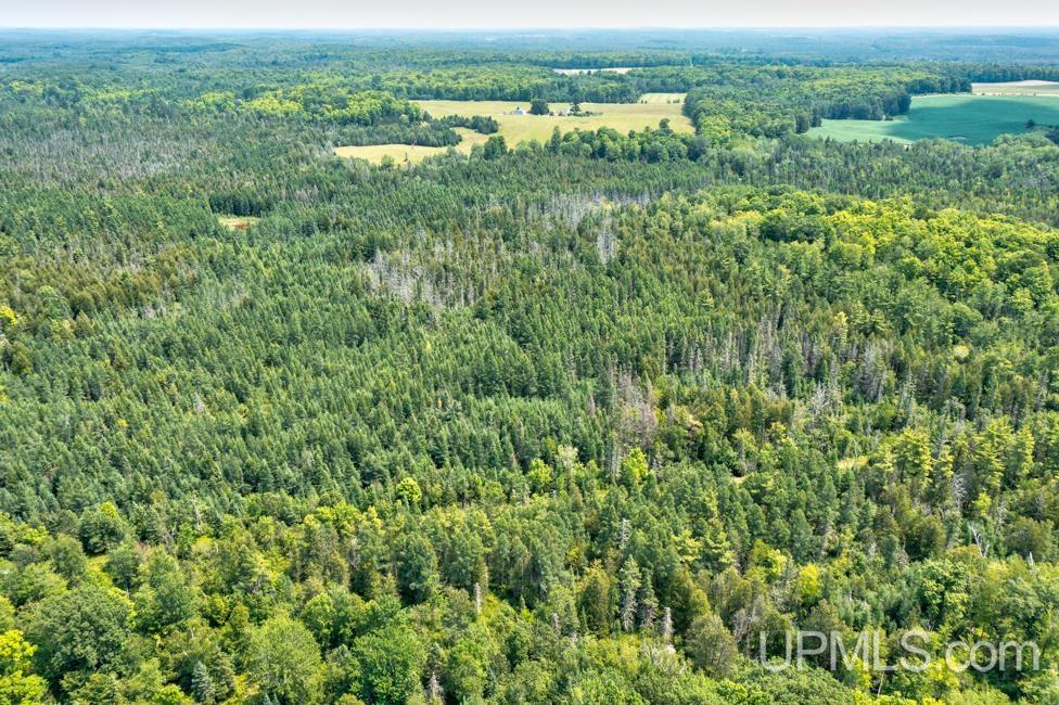 577 Rd Daggett Mi 49821 Road, Unit NONE Daggett, MI 49821 - Photo 4 of 9
