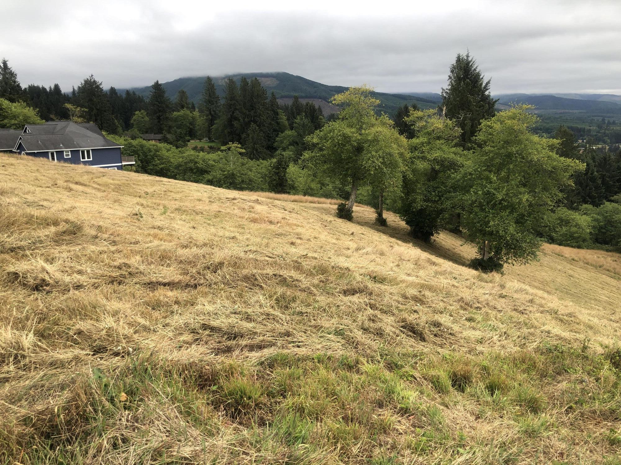 Lot 30 Skyview Road Tillamook, OR 97141 - Photo 13 of 15 IMG_9056
