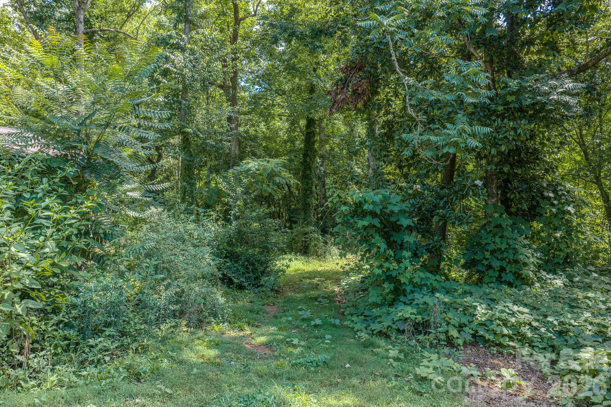 886 Pearidge Road Bostic, NC 28018 - Photo 46 of 48