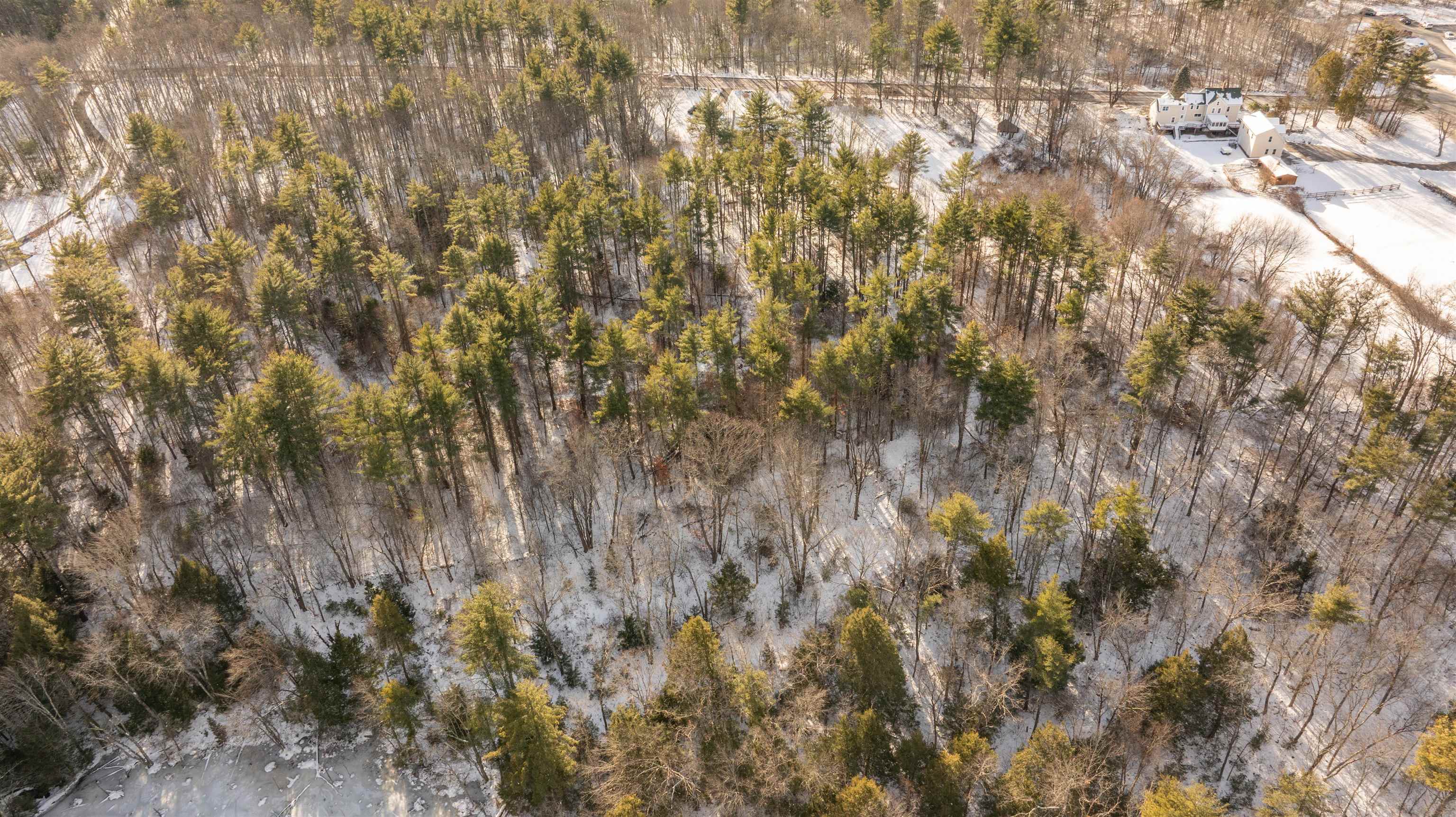 Lot 56-3 Chester Road Auburn, NH 03032 - Photo 4 of 8