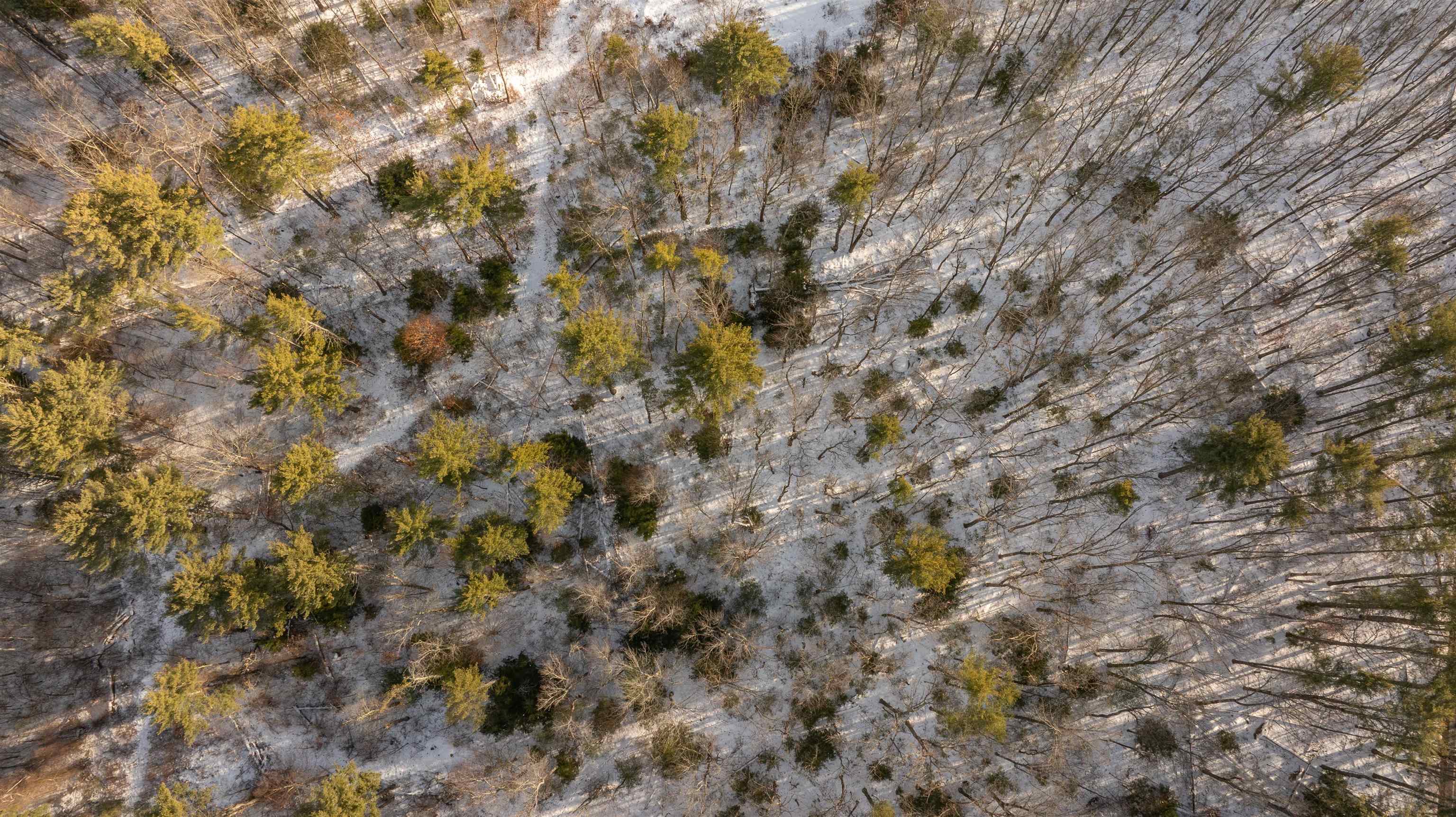 Lot 56-3 Chester Road Auburn, NH 03032 - Photo 5 of 8