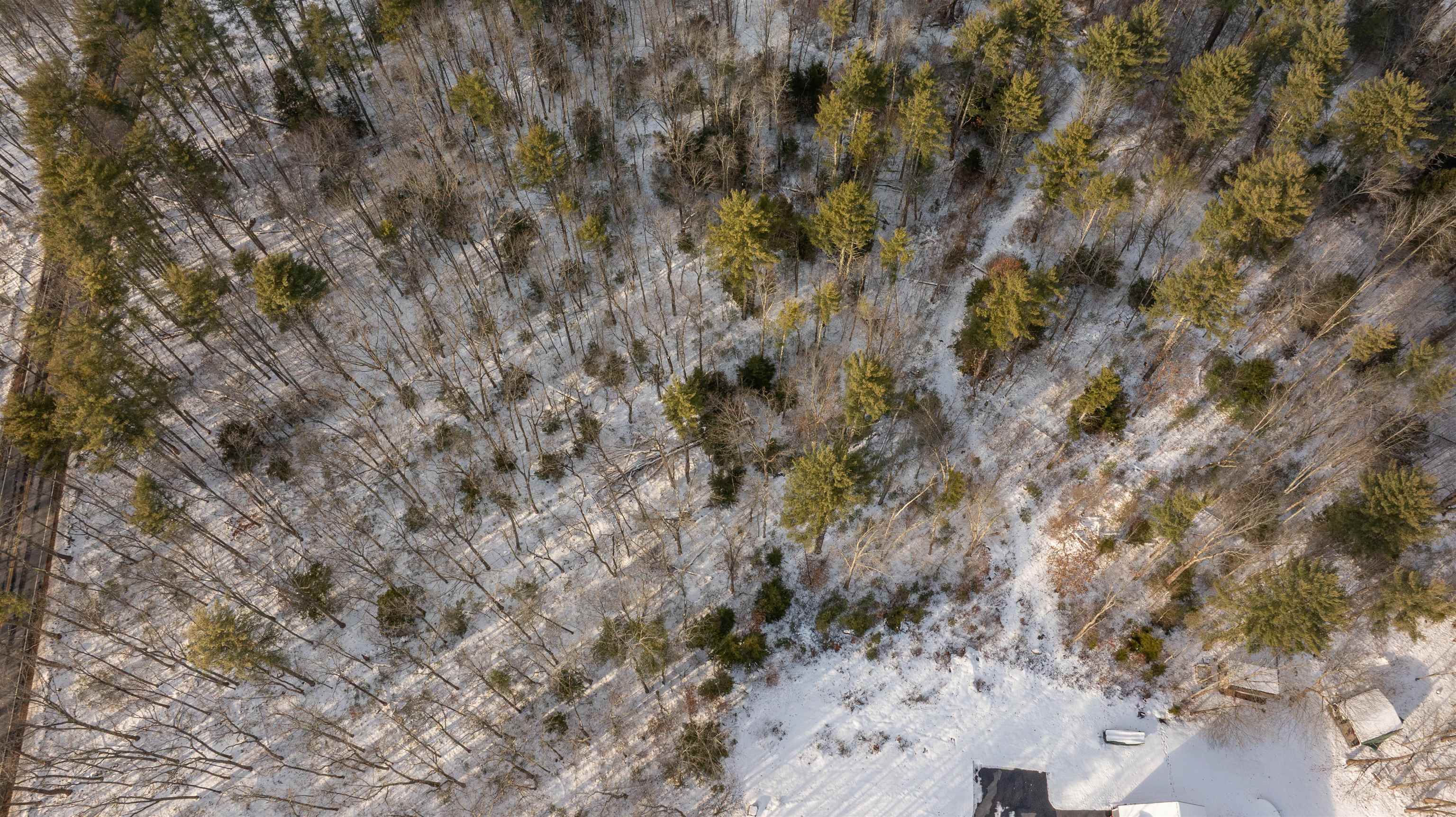 Lot 56-3 Chester Road Auburn, NH 03032 - Photo 6 of 8