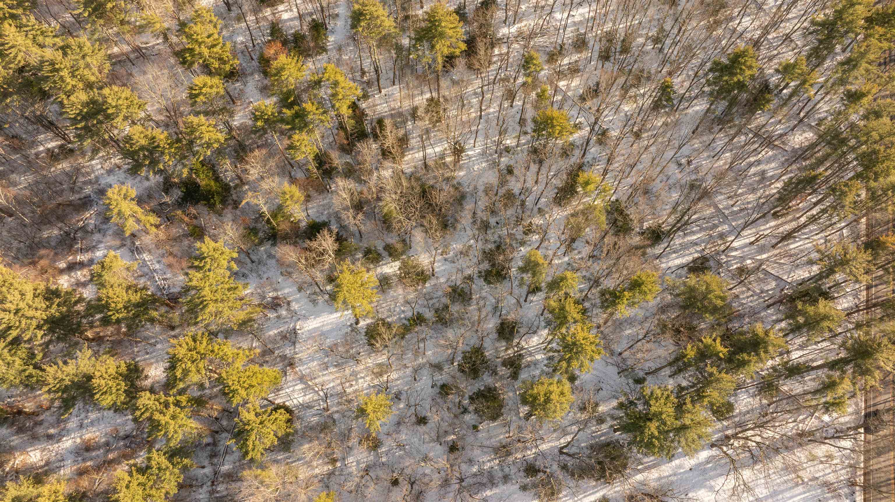 Lot 56-3 Chester Road Auburn, NH 03032 - Photo 7 of 8