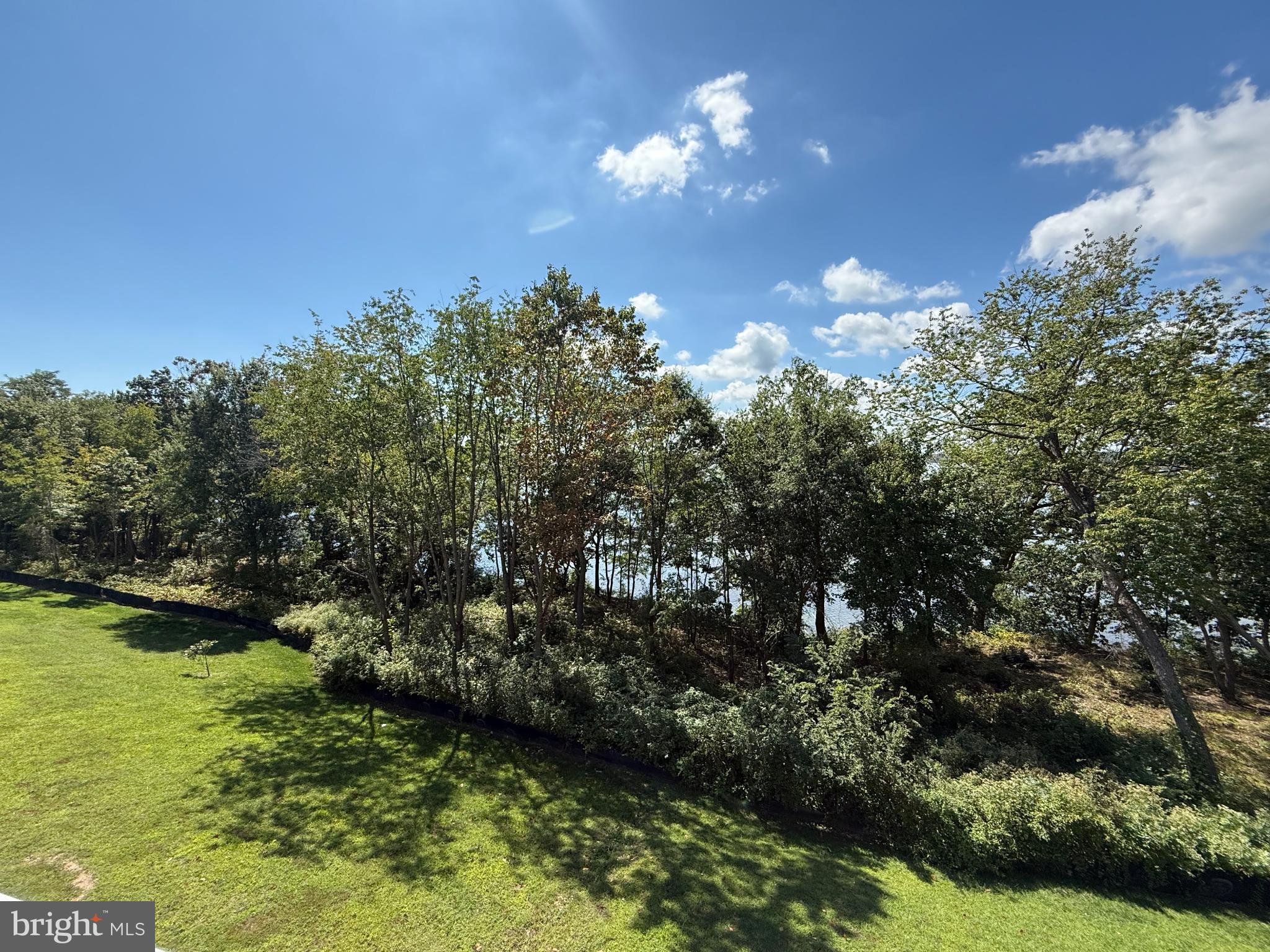 116 Trails Way Joppa, MD 21085 - Photo 38 of 45 a view of a yard with a tree