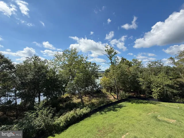 a view of a green yard