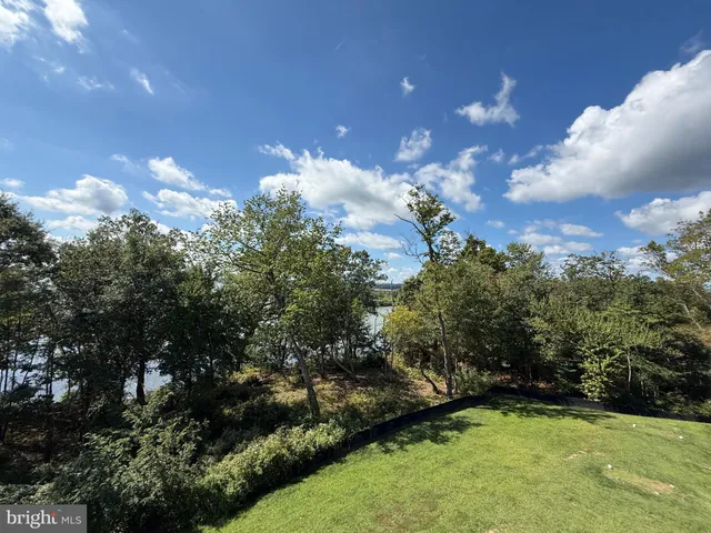 a view of a green yard