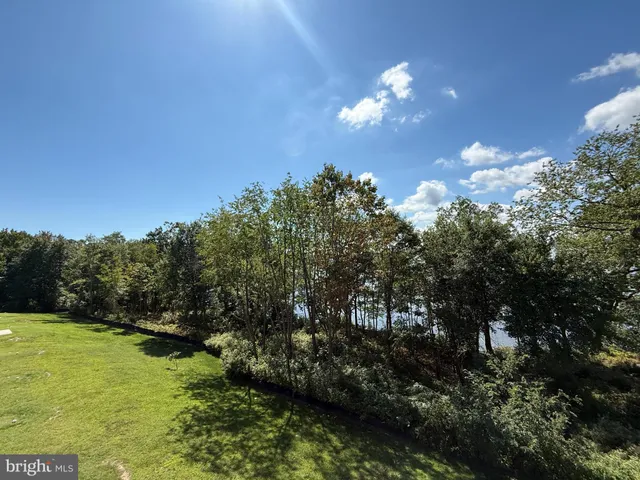 a view of a green yard