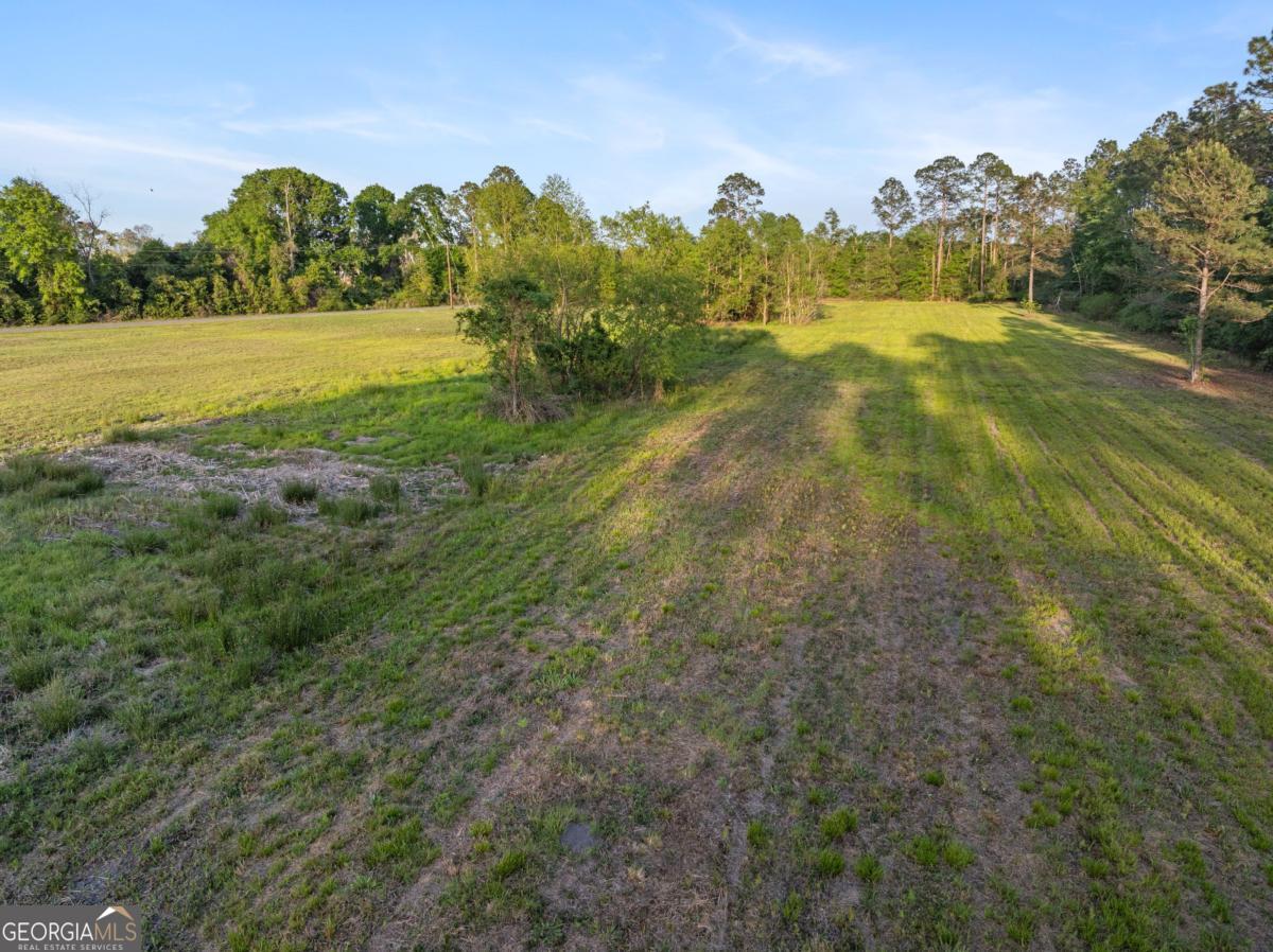 0 Anthony Street Baxley, GA 31513 - Photo 2 of 13