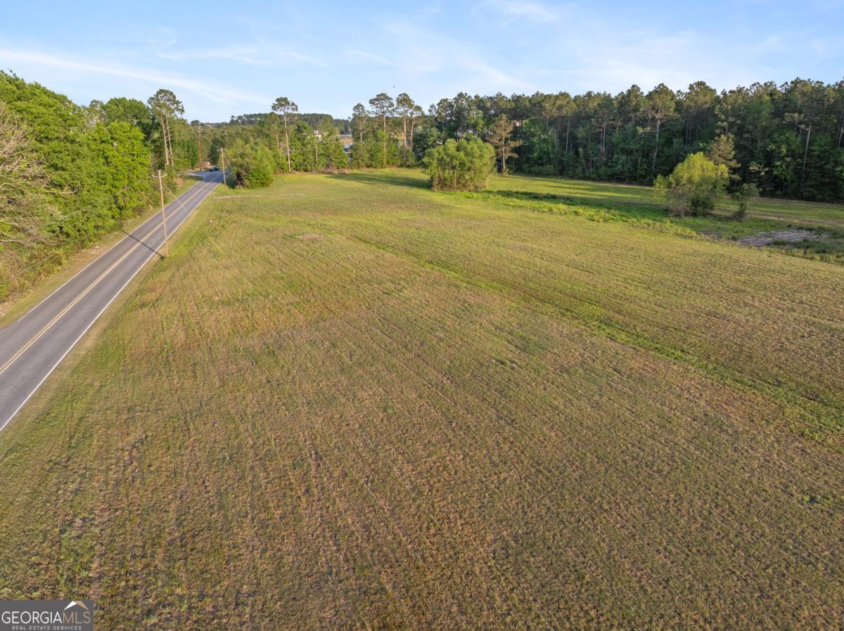 0 Anthony Street Baxley, GA 31513 - Photo 3 of 13