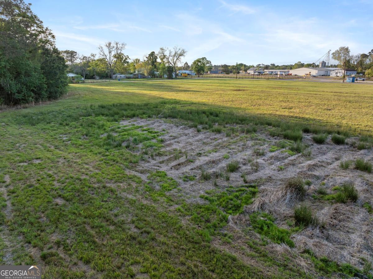 0 Anthony Street Baxley, GA 31513 - Photo 4 of 13