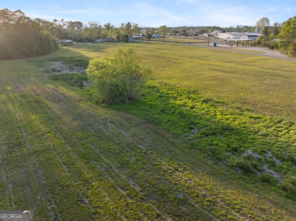 0 Anthony Street Baxley, GA 31513 - Photo 5 of 13